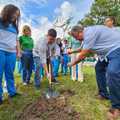 PMT realiza projeto de replantio em Teresina