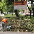 Descarte de lixo em local irregular traz prejuízos à saúde pública e finanças do município