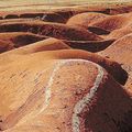 PL que institui política combate à desertificação está na ordem do dia para votação na Alepi