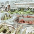 Governo do Estado regulamenta política de compra de alimentos da agricultura familiar no Piauí