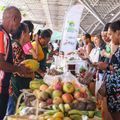 SAF entrega carros para produtores da Quitanda da Agricultura Familiar nesta quarta (1º)