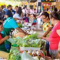 Quitanda da Agricultura Familiar retorna neste domingo (4) na Feirinha Verde da UFPI