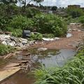 Universidade de Brasília faz pesquisas para controlar Aedes aegypti