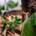 SEMARH, PNUD e SEDUC selecionam jovens para atuarem em programa de educação ambiental 