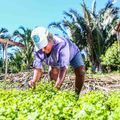 Governo do Piauí vai solicitar empréstimo ao BNDES para a agricultura familiar