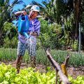 Governo do Piauí lança programas e anuncia recursos de quase R$ 100 milhões para agricultura familia