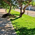 Idepi conclui construção de canteiro central no Residencial Caminho da Alvorada em Parnaíba