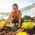 Programa Piauí Sustentável e Inclusivo está com inscrições abertas até sábado (31)