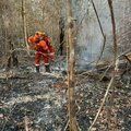 Corpo de Bombeiros realiza operação de combate a incêndio florestal na cidade de Ribeiro Gonçalves