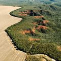 Cerrado: desmatamento emite 135 milhões de toneladas de CO2 desde 2023