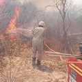 Equipes do Corpo de Bombeiros e brigadistas combatem incêndio florestal em Pedro Laurentino