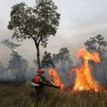 Teresina é a única capital brasileira que não piorou qualidade do ar no período das queimadas