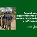 Semarh realiza monitoramento de áreas de soltura de animais silvestres em Pimenteiras