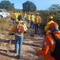 Bombeiros Militares, Bopaer e brigadistas intensificam combate a incêndios florestais no Piauí