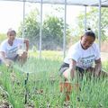 O governo apoia agricultores de Nazária e Palmeirais com melhorias em estradas e irrigação