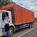 Fiscalizações de cargas vivas e produtos animais cresceram 4,2% no Piauí