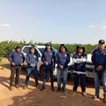 Piauí poderá expandir produção e comercialização de frutas cítricas