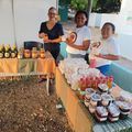 Serviços de Inspeção Animal e Vegetal da Adapi Ganham Força e Valorizam a Agroindústria Local