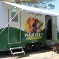 Quase quatro mil animais foram cadastrados no Piauí Pet Castramóvel