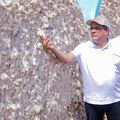 Rafael Fonteles visita algodoeira em Baixa Grande do Ribeiro nesta quarta (22)
