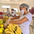 Banco de Alimentos da Nova Ceasa ganha reconhecimento nacional do Ministério da Cidadania