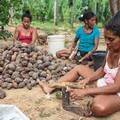 Projeto reconhece atividades tradicionais de coleta e quebra de coco como patrimônio cultural