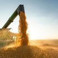 Balança Comercial do Piauí atinge R$ 794 milhões de reais de superávit em abril