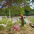 SDU Sudeste realiza mutirão de limpeza nos cemitérios para receber visitantes no Dia das Mães