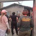 Semarh participa da Operação Falso Vet contra castrações clandestinas em Teresina