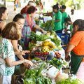 Quitanda da SAF levará, semanalmente, produtos da agricultura familiar para a Uespi
