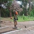 SDU Centro realiza limpeza e capina no Monumento do Motorista Gregório