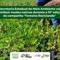 Semarh distribuirá mudas na 10ª edição da campanha “Teresina Reciclando”