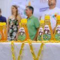 Saf apoia seminário reúne apicultores e meliponicultores para discutir produção de mel no Piauí