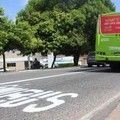 Corredores de ônibus serão liberados 2 horas antes dos jogos da seleção brasileira