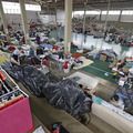 Oito em cada dez brasileiros já apoiaram vítimas de eventos climáticos