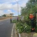 SDU Centro realiza mutirão de limpeza da ponte Wall Ferraz