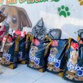 Semarh doa 500 kg de ração e firma parceria para castrações no Lar do Nando