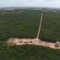 Rafael Fonteles aposta no hidrogênio verde como motor da transição energética mundial