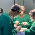 HEDA realiza cirurgia de tireoidectomia, ampliando assistência cirúrgica na Planície Litorânea