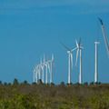 BB assina acordo de US$ 700 milhões para exportações e energia limpa