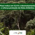 Piauí reduz em 12,4% o desmatamento e reforça proteção da Mata Atlântica