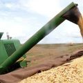 Governo Federal lança Plano Safra 2025/2026 com R$ 516,2 bilhões para impulsionar o agro