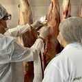 Serviço de Inspeção Estadual assegura qualidade e segurança de alimentos consumidos no Piauí