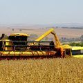 Com alta de 13,9%, estimativa de junho aponta safra recorde de grãos