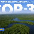 Sebrae posiciona pequenos negócios no centro do debate global na COP30