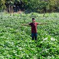 Agricultor aumenta renda com irrigação; SAF já distribuiu mais de mil kits em 2025
