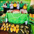 Produtores fecham mais de R\$ 1,5 milhão em crédito no Festival Melão e Mel