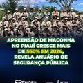 Apreensão de maconha no Piauí cresce mais de 560% em 2024, revela Anuário de Segurança Pública