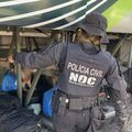 SSP-PI, por meio da SOI, deflagra operação “Viagem Segura” em municípios estratégicos do estado