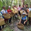 Quebradeiras vão criar primeira fábrica de sabonetes artesanais feitos com óleo de coco babaçu
